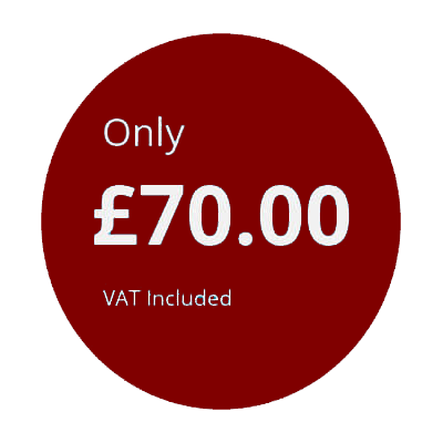 Mansfield Logo Design Standard Package