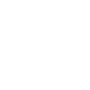 Software Development